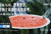 娱乐圈吃瓜文案,揭秘明星们的“瓜田”秘闻